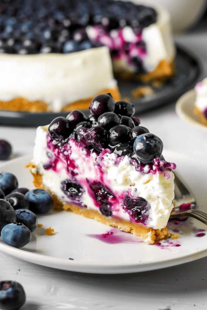 How to Store No-Bake Blueberry Cheesecake