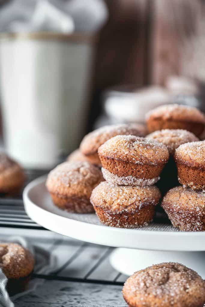 Snickerdoodle Muffins