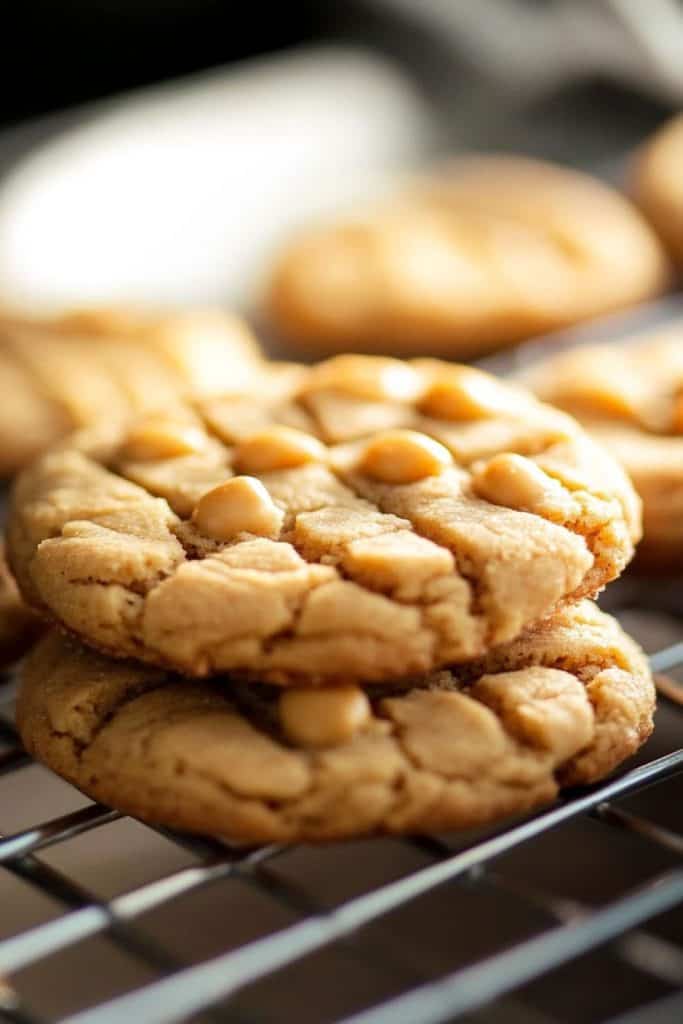 Storage Disneyland's Copycat Peanut Butter Cookies