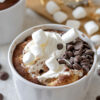 S'mores Chocolate Mug Cake