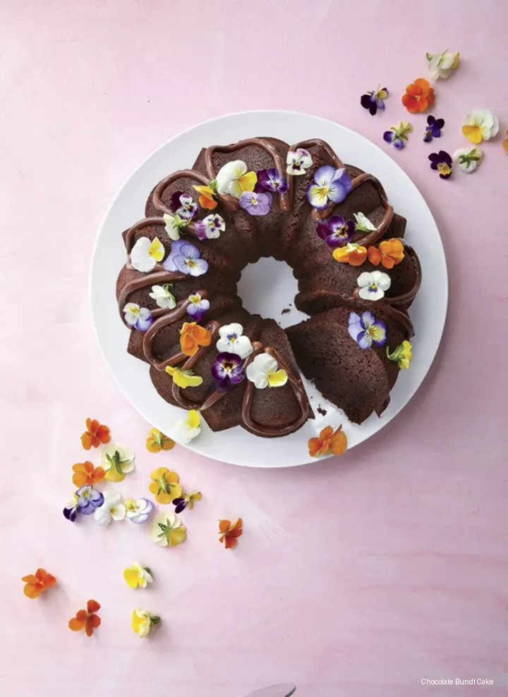 Chocolate Bundt Cake