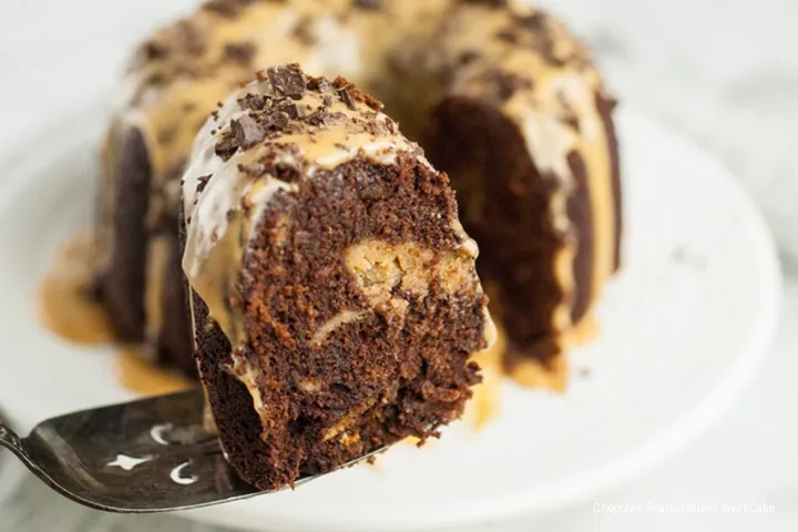 Chocolate Peanut Butter Swirl Cake