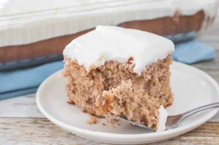 Easy Apple Spice Cake