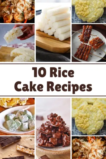 10 Rice Cake Recipes