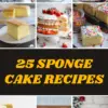 Sponge-Cake-Recipes
