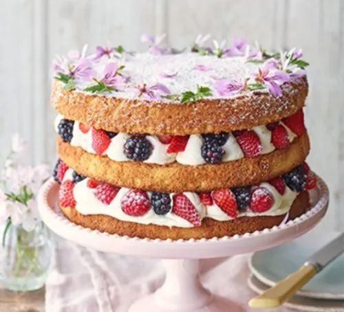 Summer Berry Cake with Cream