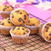 Batch of banana protein chocolate chip muffins cooling on a wire rack.