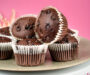 Double Chocolate Muffins